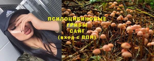 индика Верхний Тагил