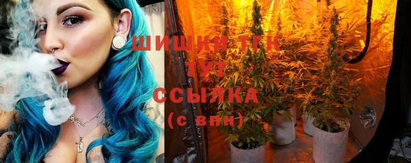 индика Верхний Тагил