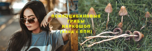 герыч Бородино