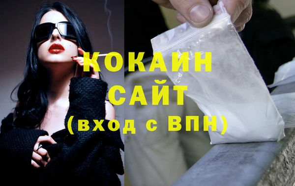 индика Верхний Тагил