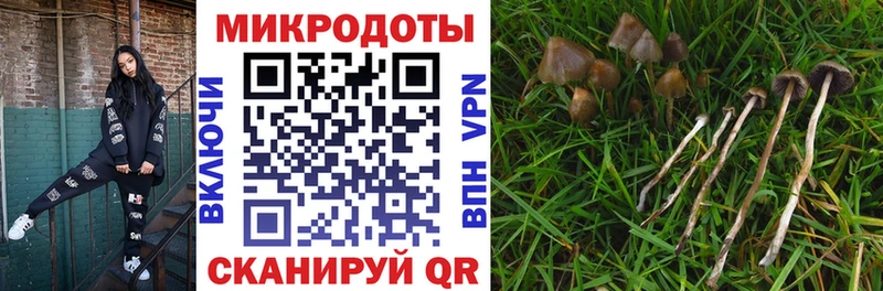 mega вход  Сретенск  Псилоцибиновые грибы Psilocybe 